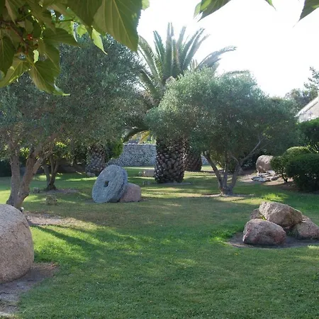 Cartarana ボニファシオ